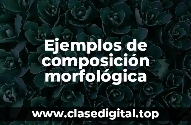 Ejemplos de composición morfológica