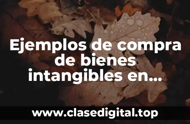 Ejemplos de compra de bienes intangibles
