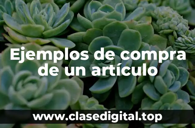 Ejemplos de compra de un artículo