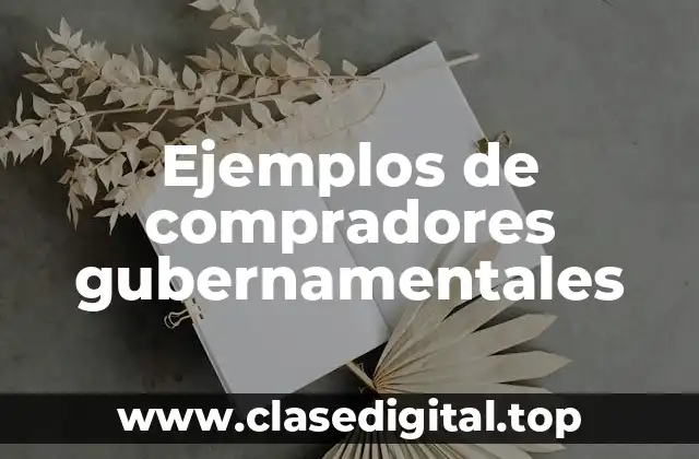 Ejemplos de compradores gubernamentales