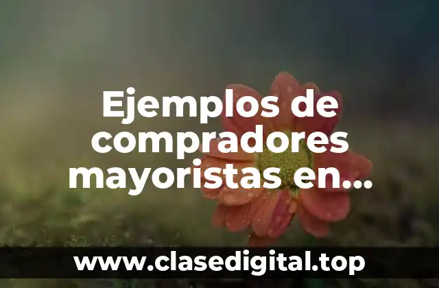 Ejemplos de compradores mayoristas en México