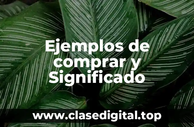 Ejemplos de comprar y Significado