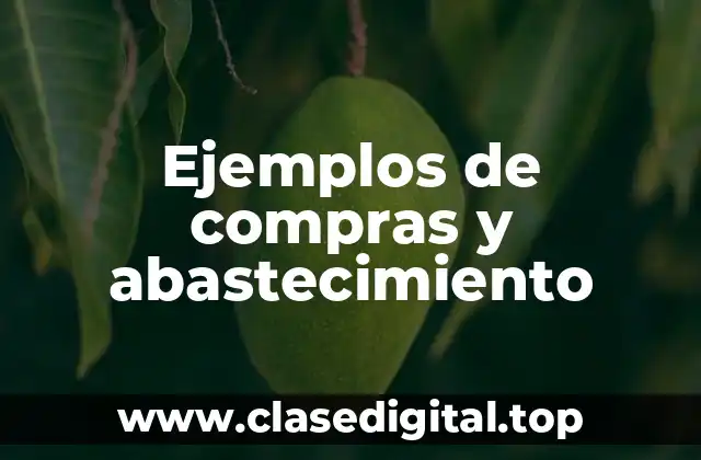 Ejemplos de compras y abastecimiento