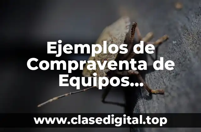 Ejemplos de Compraventa de Equipos Informáticos