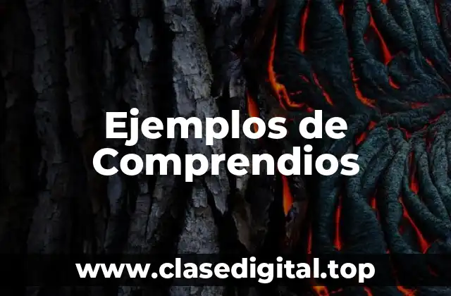 Ejemplos de Comprendios