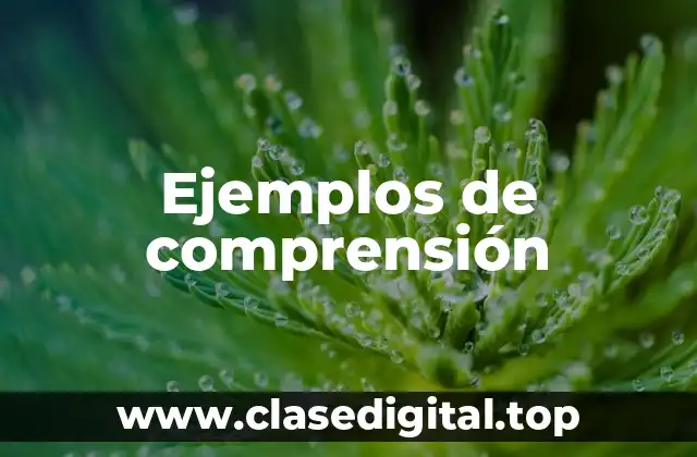 Ejemplos de comprensión