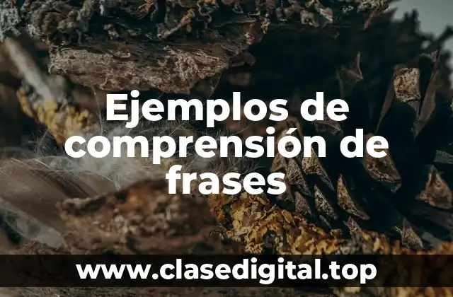 Ejemplos de comprensión de frases