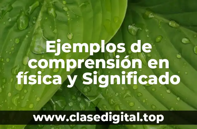 Ejemplos de comprensión en física y Significado