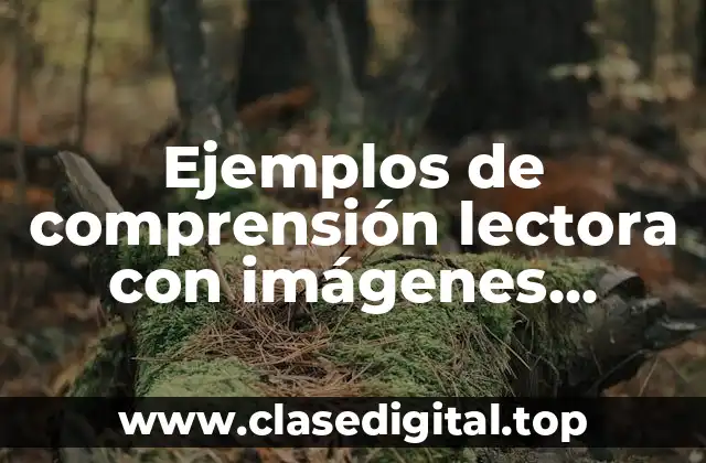 Ejemplos de comprensión lectora con imágenes animadas