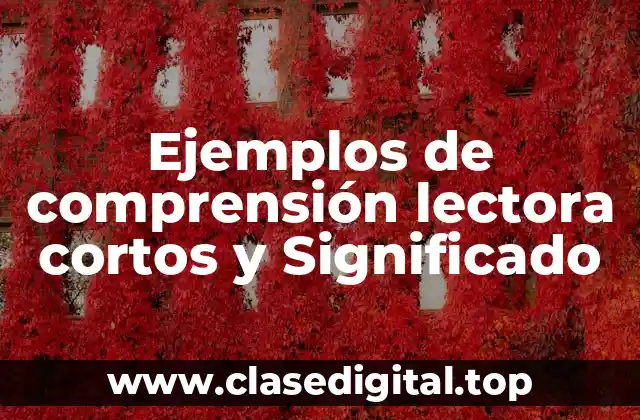 Ejemplos de comprensión lectora cortos