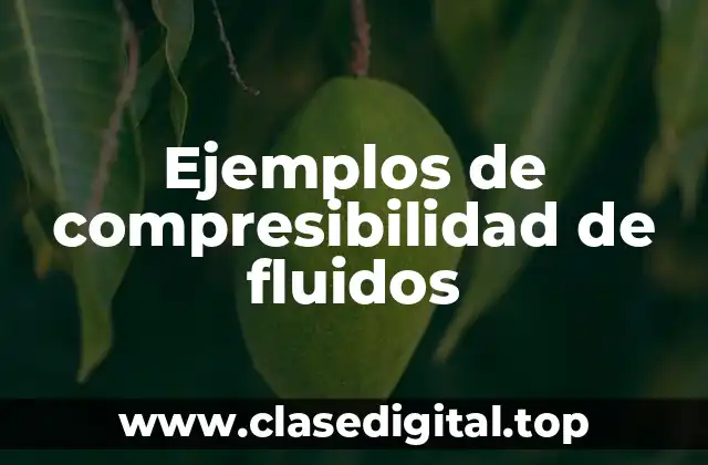 Ejemplos de compresibilidad de fluidos