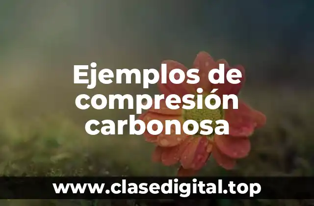Ejemplos de compresión carbonosa
