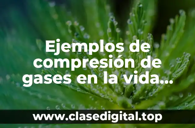 Ejemplos de compresión de gases en la vida cotidiana y Significado