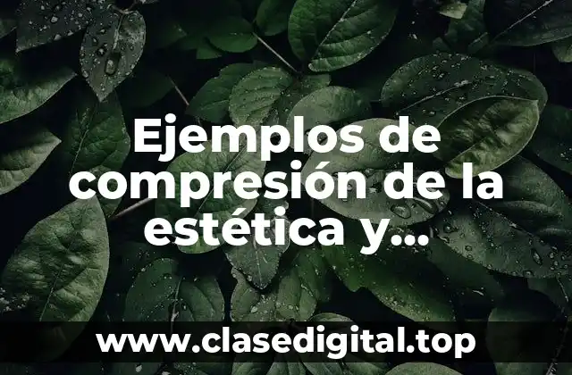 Ejemplos de compresión de la estética y Significado