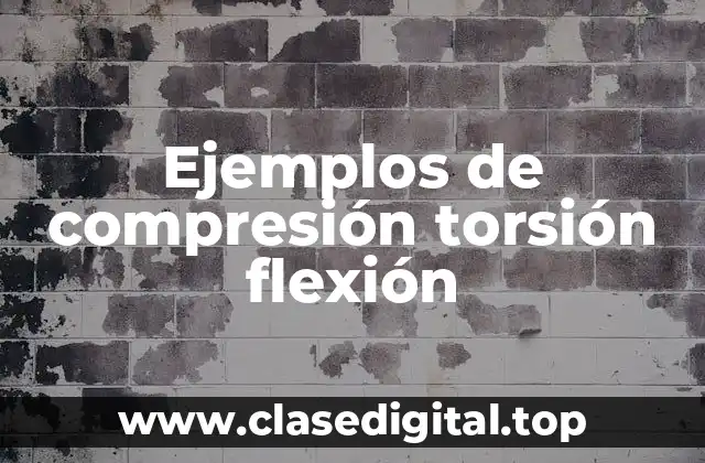 Ejemplos de compresión torsión flexión