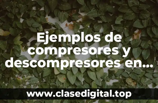 Ejemplos de compresores y descompresores en informática