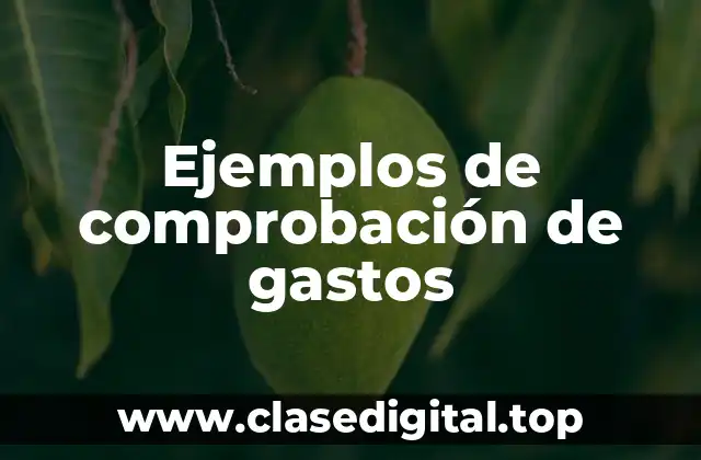 Ejemplos de comprobación de gastos