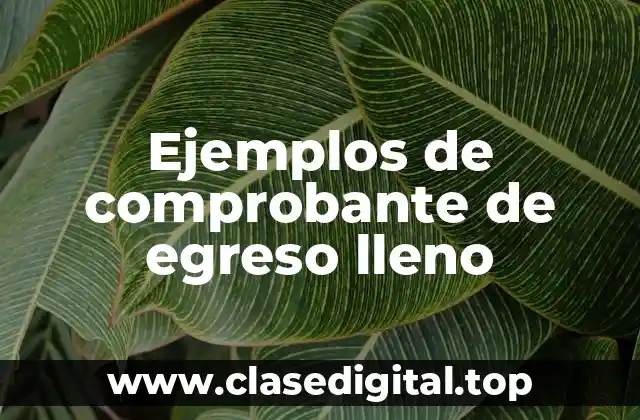 Ejemplos de comprobante de egreso lleno