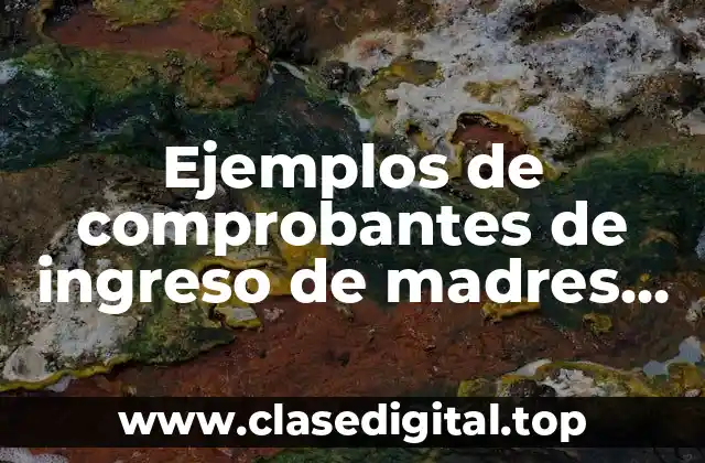 Ejemplos de comprobantes de ingreso de madres solteras