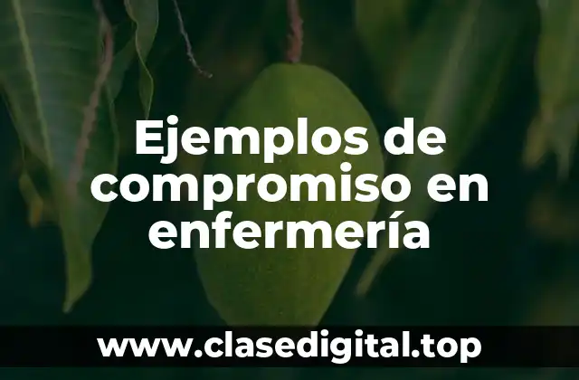Ejemplos de compromiso en enfermería