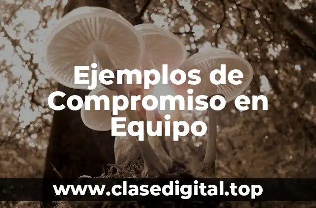 Ejemplos de Compromiso en Equipo