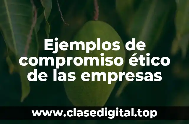 Ejemplos de compromiso ético de las empresas
