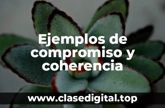 Ejemplos de compromiso y coherencia