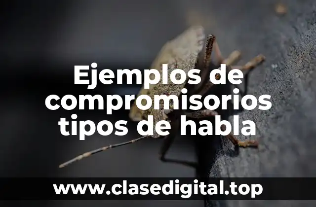 Ejemplos de compromisorios tipos de habla