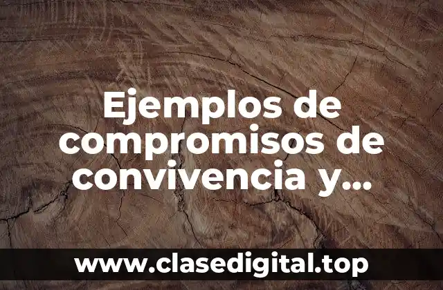 Ejemplos de compromisos de convivencia