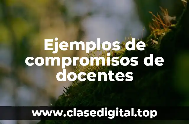 Ejemplos de compromisos de docentes
