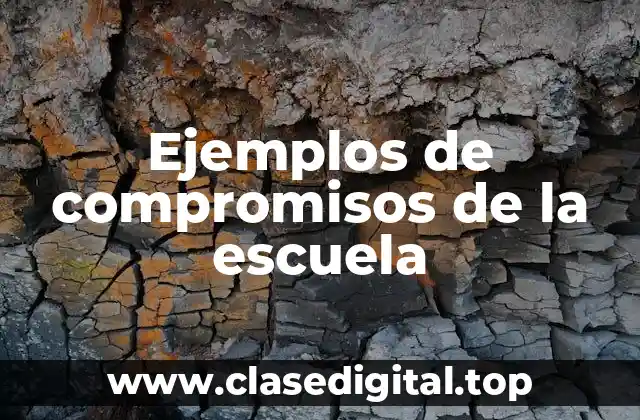 Ejemplos de compromisos de la escuela