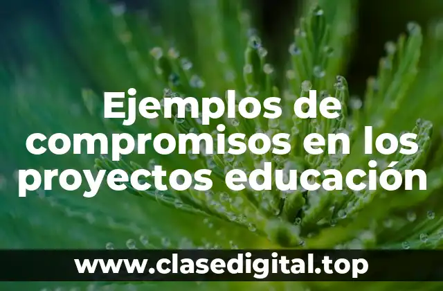 Ejemplos de compromisos en los proyectos educación