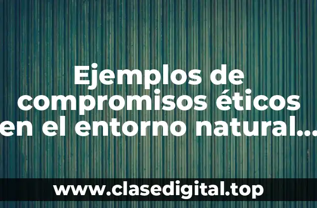 Ejemplos de compromisos éticos en el entorno natural y Significado
