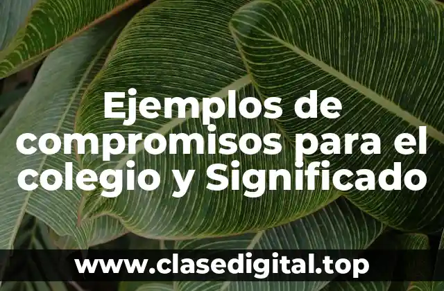 Ejemplos de compromisos para el colegio y Significado