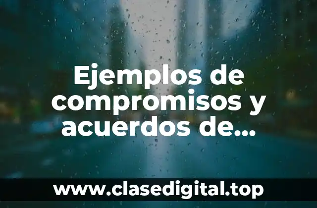 Ejemplos de compromisos y acuerdos de participación social