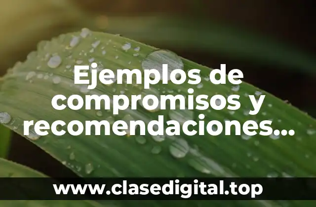 Ejemplos de compromisos y recomendaciones para un maestro regular