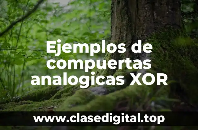 Ejemplos de compuertas analogicas XOR