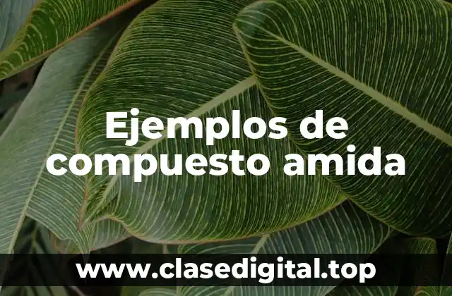 Ejemplos de compuesto amida