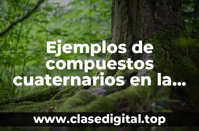 Ejemplos de compuestos cuaternarios en la vida cotidiana y Significado