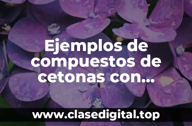 Diferencia entre compuestos de cetonas con nombres y otras sustancias químicas