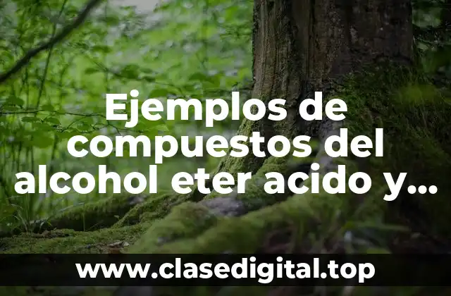 Ejemplos de compuestos del alcohol eter acido y amina