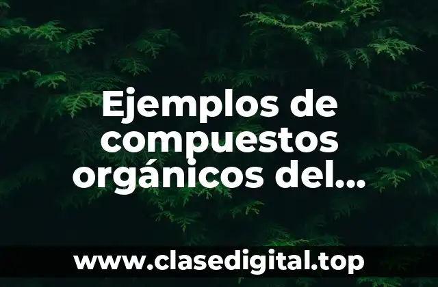 Ejemplos de compuestos orgánicos del carbono naturales
