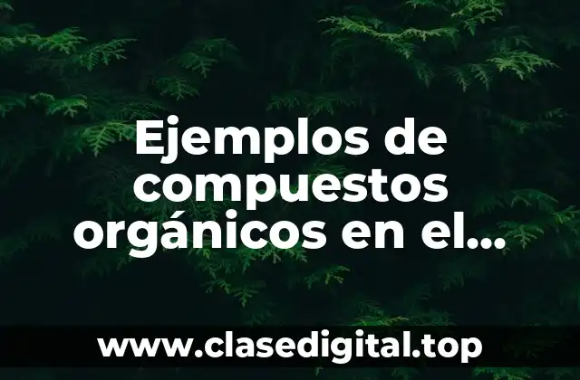 Ejemplos de compuestos orgánicos en el hogar