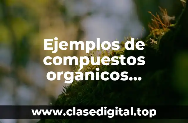 Ejemplos de compuestos orgánicos halogenados que deterioran el ambiente y Significado