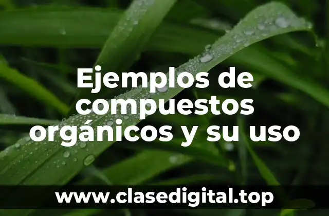 Ejemplos de compuestos orgánicos