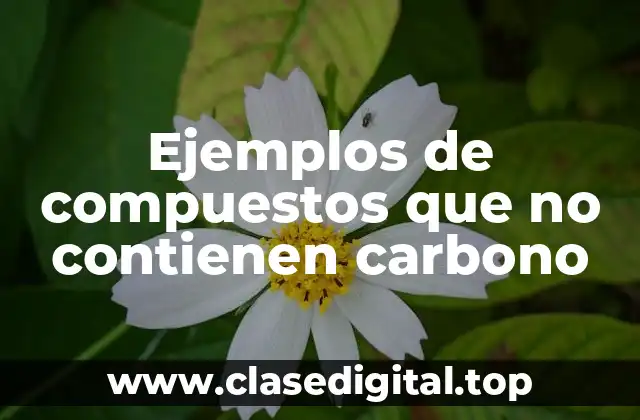 Ejemplos de compuestos que no contienen carbono