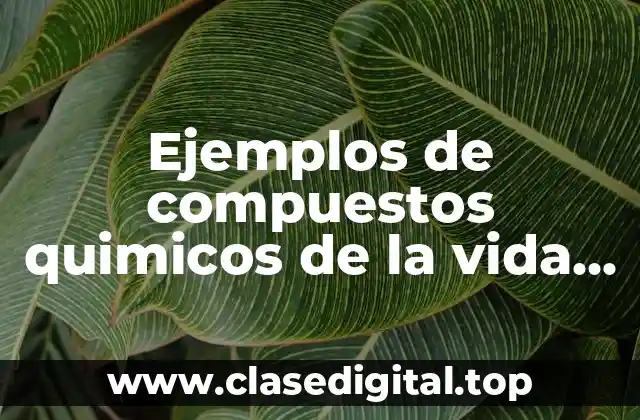 Ejemplos de compuestos quimicos de la vida cotidiana