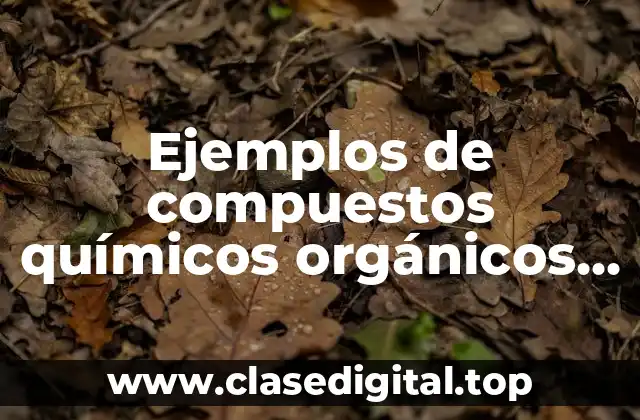 Ejemplos de compuestos químicos orgánicos en la vida cotidiana