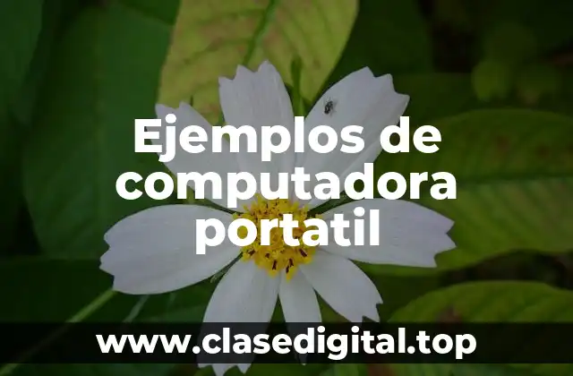 Ejemplos de computadora portatil