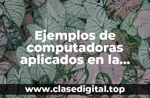 Ejemplos de computadoras aplicados en la medicina y Significado